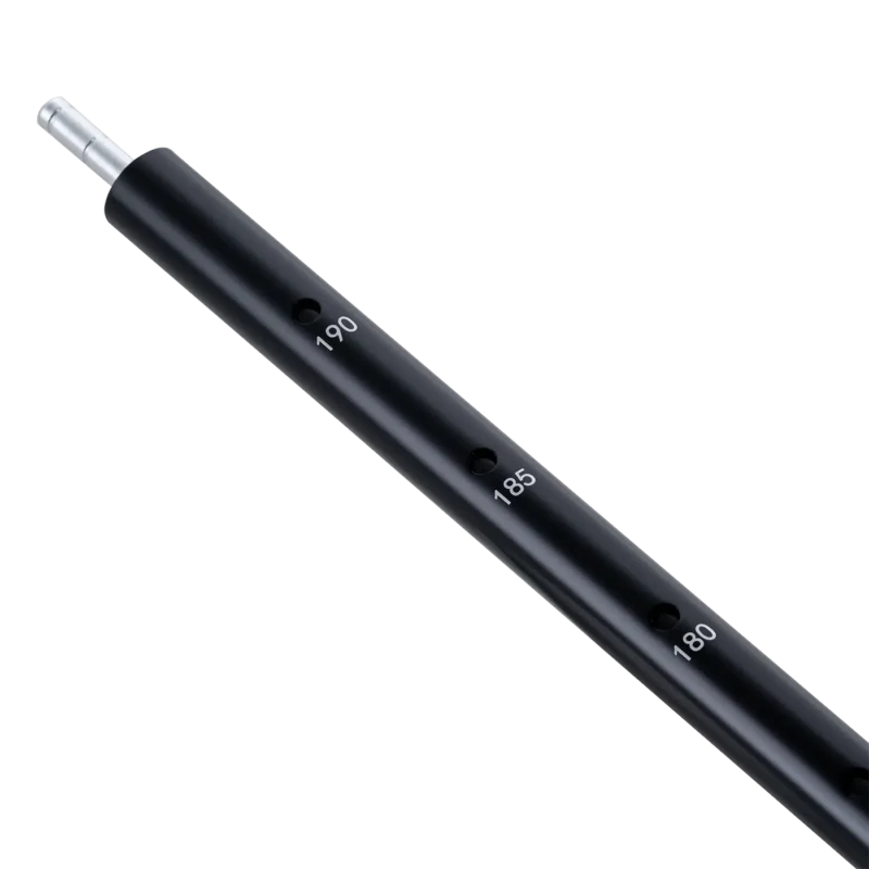 BDV Annex Plus Pole_02 BDV Annex Plus Pole_02