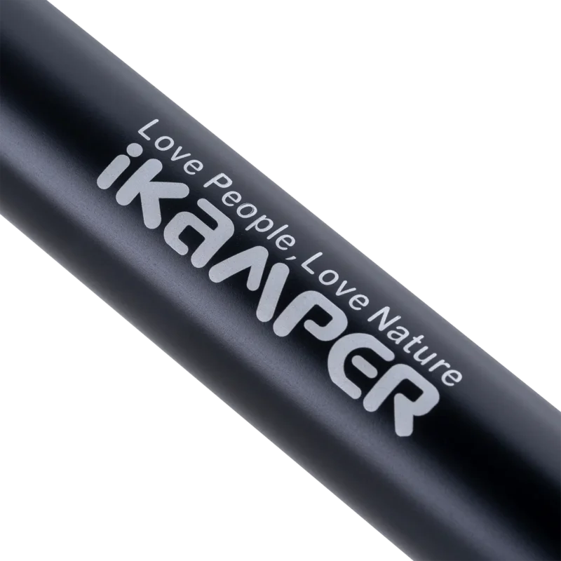 BDV Annex Plus Pole_04 BDV Annex Plus Pole_04